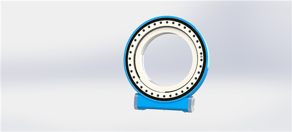 回轉(zhuǎn)驅(qū)動(dòng)的滾道會(huì)受損嗎？滾道受損原因及預(yù)防措施